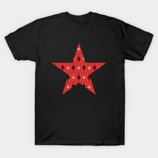 Spider Web Star T-Shirt